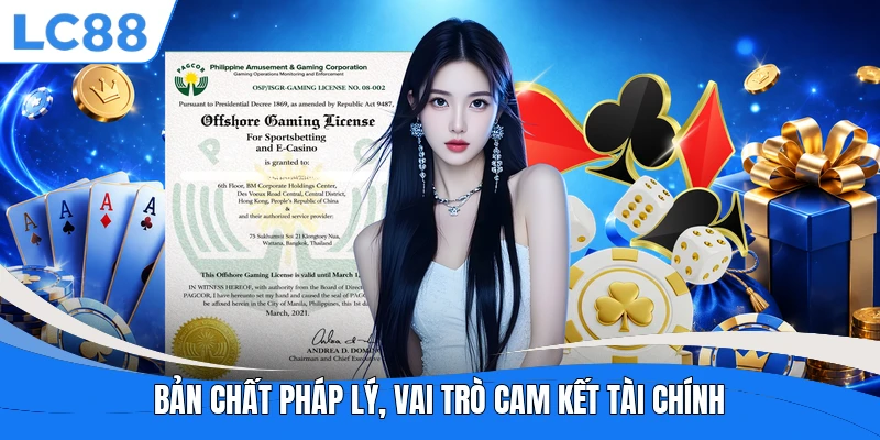 Bản chất pháp lý, vai trò cam kết tài chính 