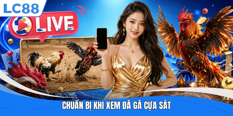 Chuẩn bị khi xem đá gà cựa sắt