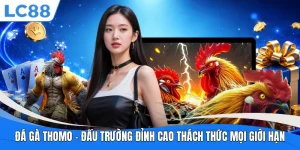 Đá Gà Thomo