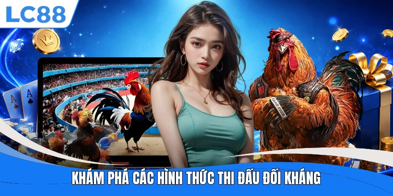Khám phá các hình thức thi đấu đối kháng