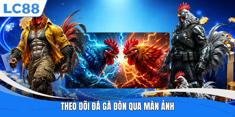 Theo dõi đá gà đòn qua màn ảnh
