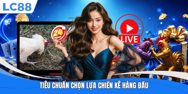 Tiêu chuẩn chọn lựa chiến kê hàng đầu