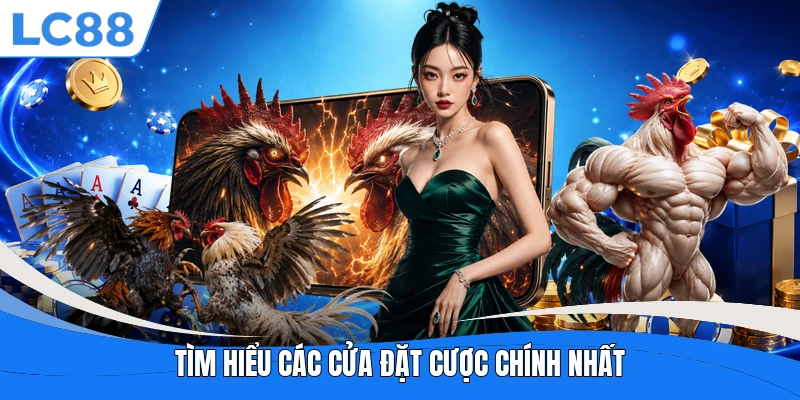 Tìm hiểu các cửa đặt cược chính nhất