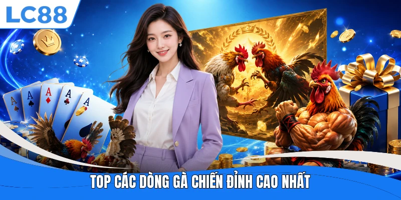 Top các dòng gà chiến đỉnh cao nhất